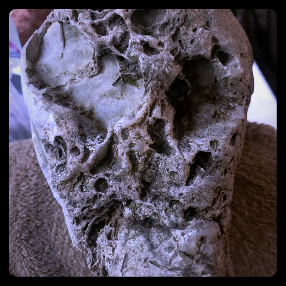 Rock skull natural one of a kind